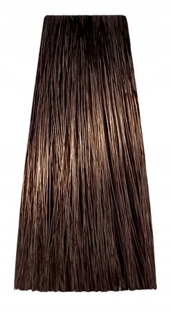 Chantal ART COLOR Prosalon Farba 100ml 7,13