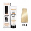 CHANTAL COLOR ART Farba do włosów 10,3 - 100ml