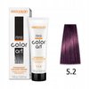 CHANTAL COLOR ART Farba do włosów 5,2 - 100ml