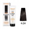CHANTAL COLOR ART Farba do włosów 4,G4 - 100ml