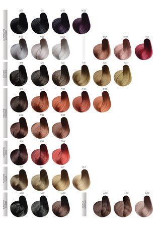 STAPIZ Color Art Desiree Farba do włosów 10,04 Miedziany Superblond - 100ml