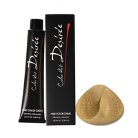 STAPIZ Color Art Desiree Farba do włosów 10,13 Złocisto Popielaty Super Jasny Blond - 100ml