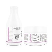 SALERM HAIRLAB Zestaw prostujący włosy LISS CONTROL Szampon Maska 300+250