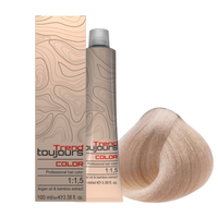 TREND TOUJOURS Farba do włosów - Silver/Srebrny - 90.01 - 100ml