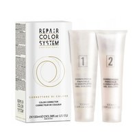 RENEE BLANCHE Dekoloryzator do włosów REPAIR COLOR SYSTEM - 2x100ml