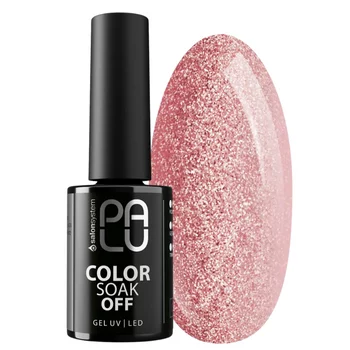 PALU Lakier hybrydowy SANTIAGO SA8 - 11g