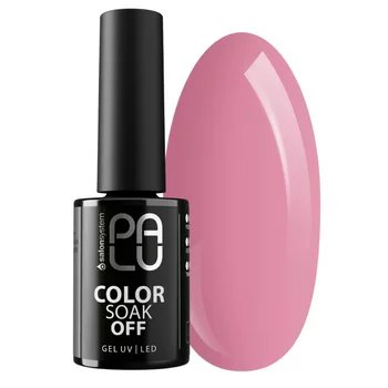 PALU Lakier hybrydowy SANTIAGO SA6 - 11g